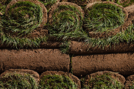 Rolls of sod grass in a stack