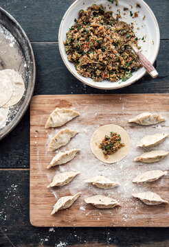 Food: japanese (inspired) gyoza ravioli with vegetable quinoa filling,vegan