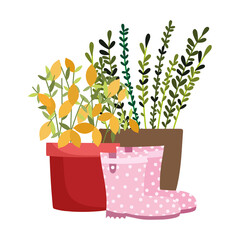 happy garden, potted plants leaves boots isolated icon style