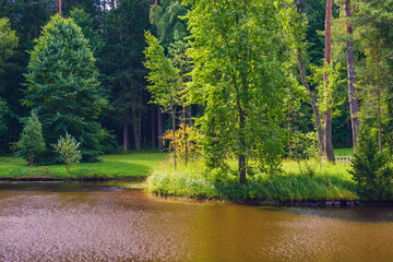 Amazing landscape in a beautiful park