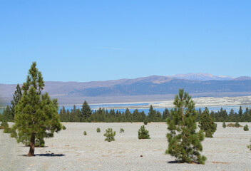 Mono Lake and the Inyo National Forest