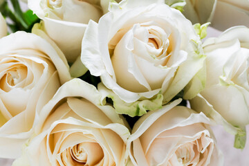 Bouquet of white roses
