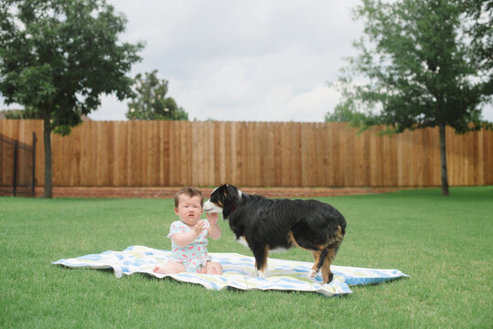 Baby and dog playing