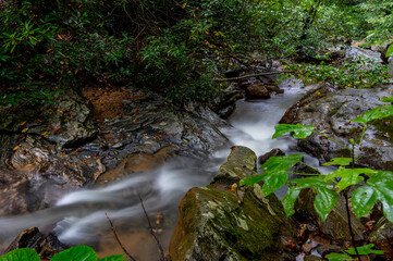 Mountain Stream