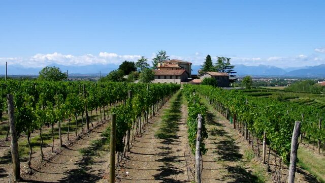 Friaul, Weingut in sch&ouml;ner italienischer Landschaft