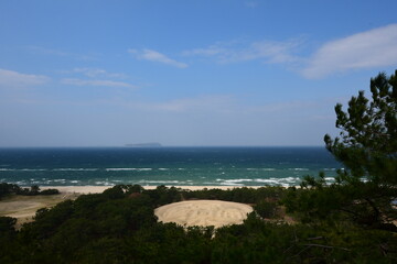 Fototapeta premium 寛永通宝