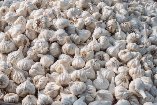 Close up of garlic, full frame