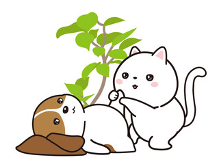 整体の施術を受ける犬