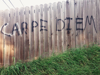 Carpe Diem, graffiti on a fence, seize the day