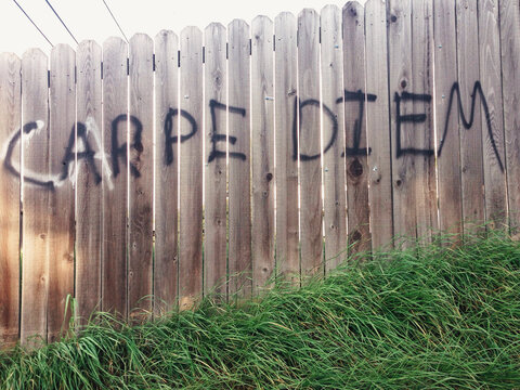 Carpe Diem, graffiti on a fence, seize the day