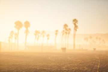 Shallow depth of field of the beach at sunrise.