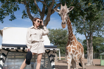 Woman taking a bus tour, feeding and playing with giraffe on safari open park zoo.