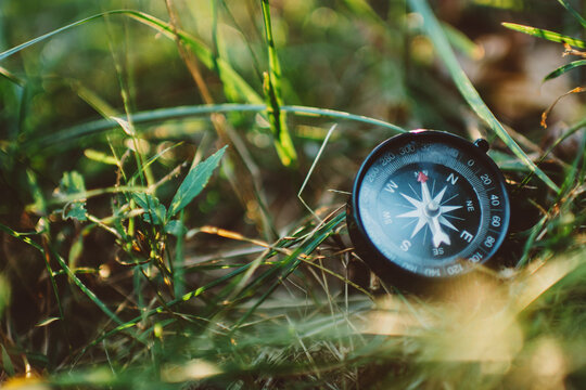 Toy Compass in Grass