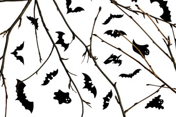 Background for halloween twigs and, bats and cockroaches on a white background