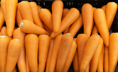 Fresh carrots at the  market.