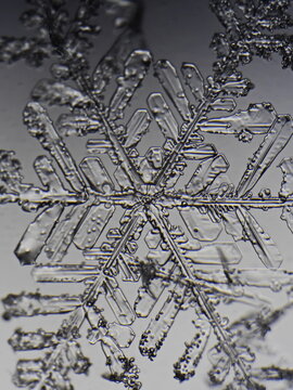 snowflakes