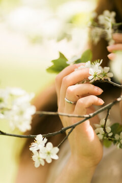 spring tree and her hand