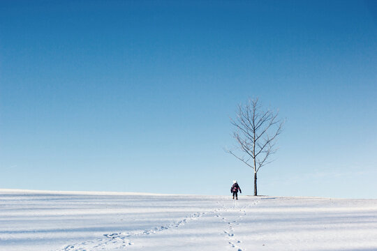 Young Girl Walking up a Hill Towards a Tree