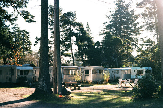 Row of Retro Trailers in the Woods