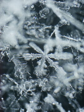 snowflakes