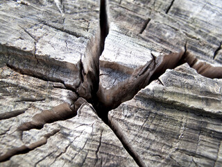 丸太のひび割れ