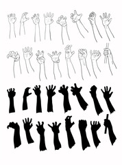 Set of hands in many gesture.