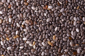 Black Chia Seed Organic food close up isolated on white background.