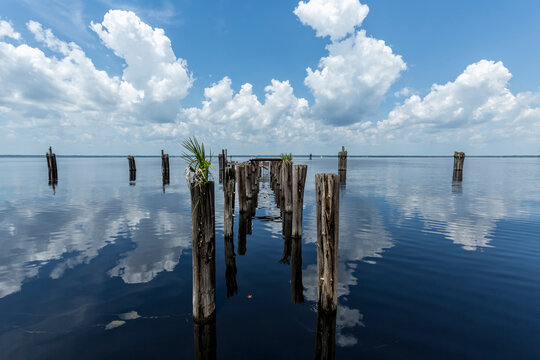 Abandoned Wooden Docks
