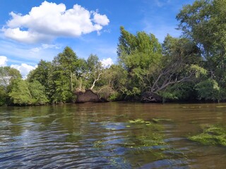 Connecting with nature for one day