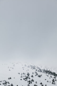 Winter Landscape in Navacerrada, Spain