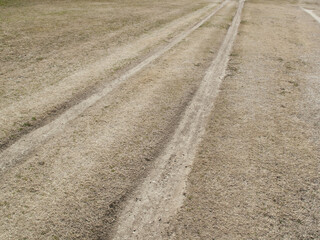 武庫川河川敷の散歩道