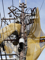 電柱の感電防止ネット