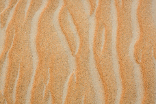 United Arab Emirates. Empty Quarter desert.