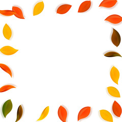 Falling autumn leaves. Red, yellow, green, brown n