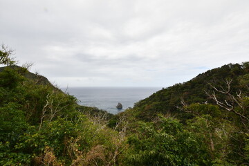 Fototapeta na wymiar 母島