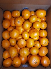 oranges in the market