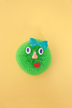 Creating faces from household cleaning equipment / products