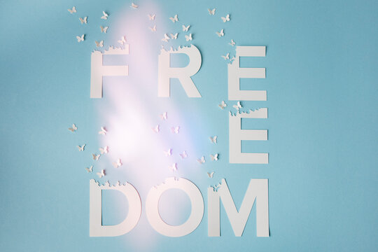 Freedom written with white letters and paper butterflies flying
