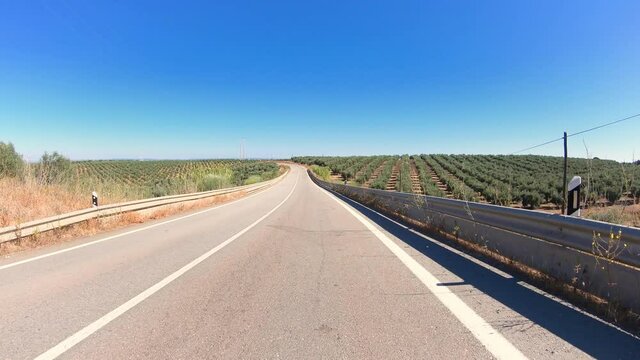 dolly forward move - EN386 paved road through olive groves next to Brinches, municipality of Serpa, district of Beja, Alentejo, Portugal