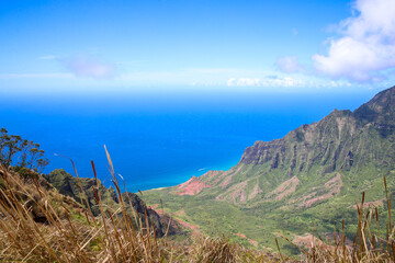 Kalalau Lookout, Na Pali Coast State Wilderness Park, Kauai, Hawaii