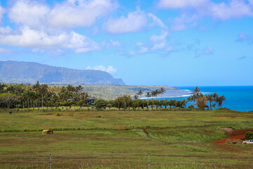 Kilauea Lighthouse, Kauai, Hawaii