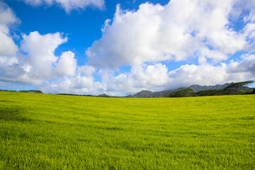 Jurassic  Ranch, Kauai, Hawaii

