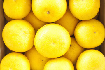 段ボールの箱に入った文旦