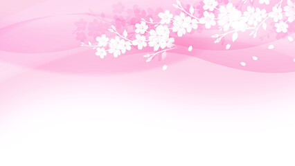 Obraz na płótnie Canvas 桜の背景（薄いピンクのウェーブ） 