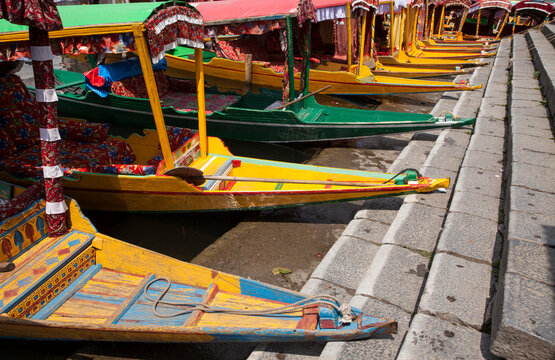 Colorful boats tied together beside Dal lake,Kashmir