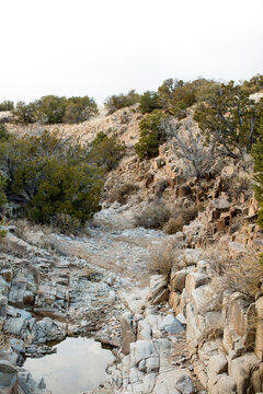 A dried out creek