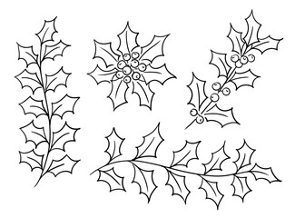 Hand-drawn holly branches