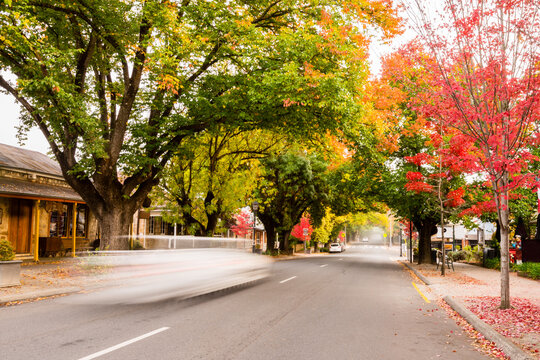 autumn street scenes