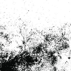 Vector grunge texture. Black and white abstract background. Eps10