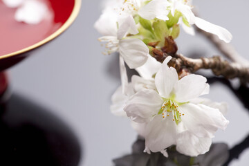 桜の花と盃の酒